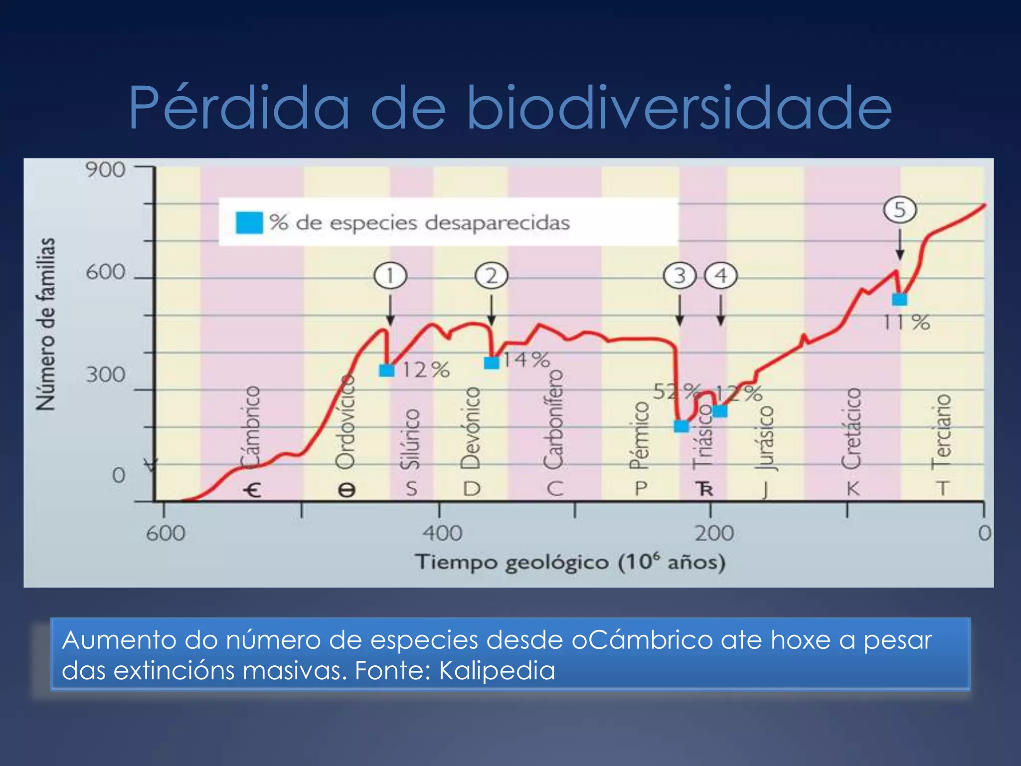 Pérdida de biodiversidadeAumento do número de especies desde oCámbrico ate hoxe a pesar das extincións masivas. Fonte: Kalipedia