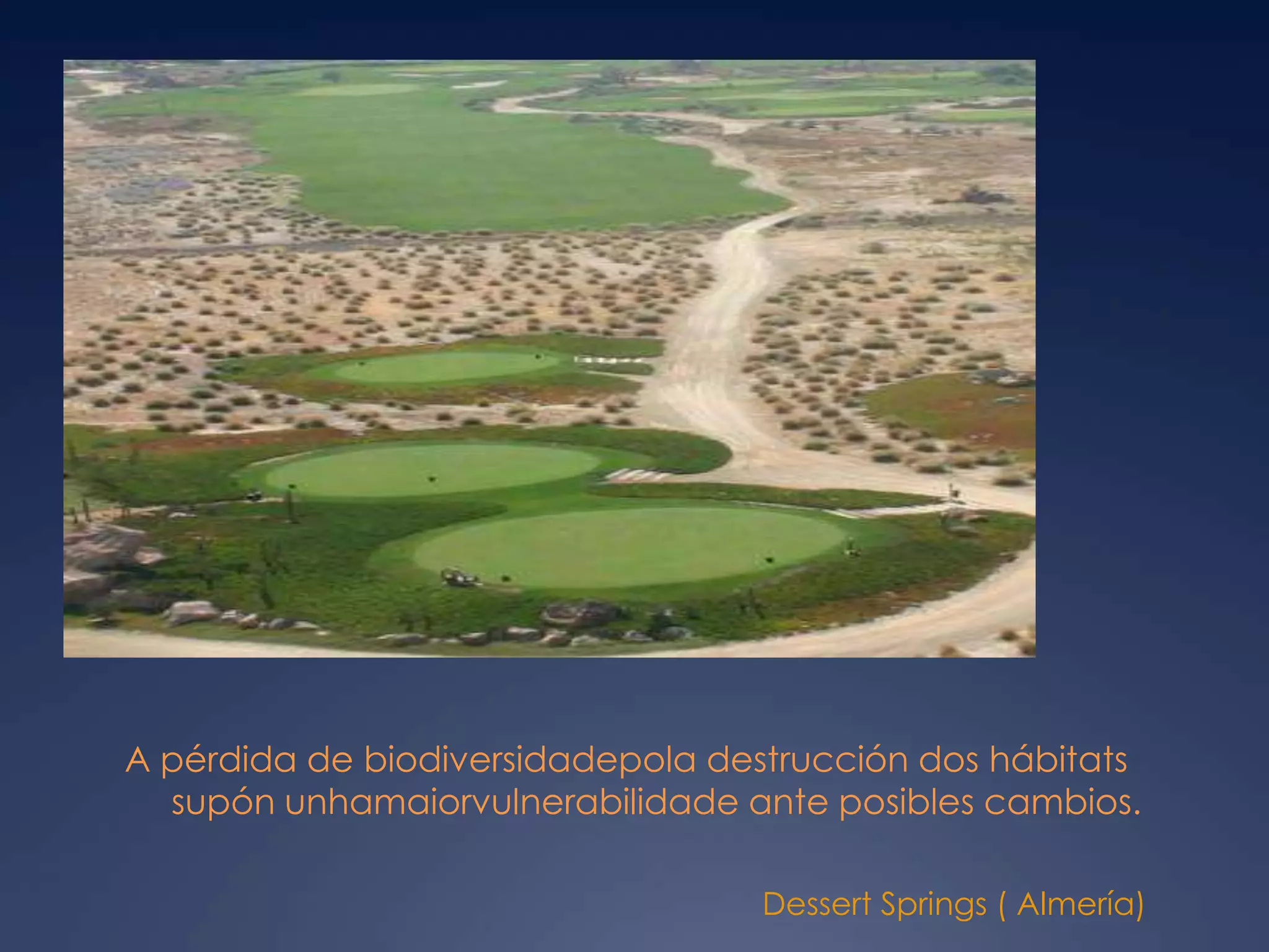 A pérdida de biodiversidadepola destrucción dos hábitats supón unhamaiorvulnerabilidade ante posibles cambios.Dessert Springs ( Almería)