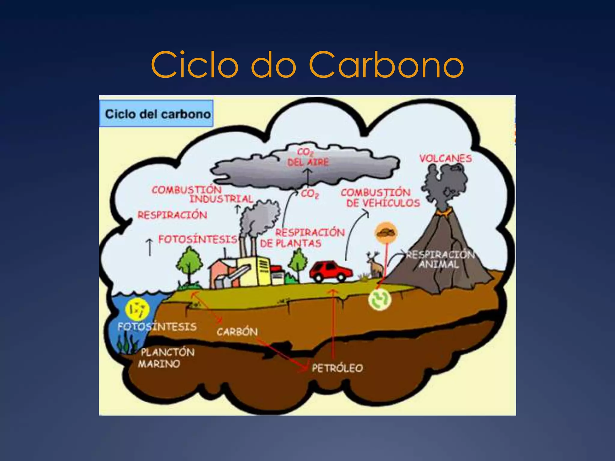 Ciclo do Carbono