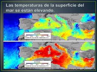Las temperaturas de la superficie del mar se están elevando. 