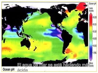 El agua de mar se está haciendo más ácida