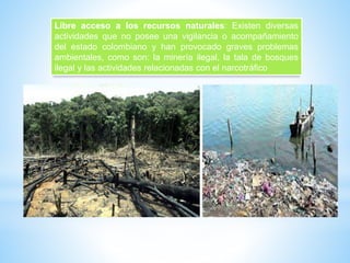 Libre acceso a los recursos naturales: Existen diversas
actividades que no posee una vigilancia o acompañamiento
del estado colombiano y han provocado graves problemas
ambientales, como son: la minería ilegal, la tala de bosques
ilegal y las actividades relacionadas con el narcotráfico
 
