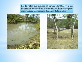 Es de notar que gracias al cambio climático y a los
fenómenos que se han presentado las fuertes sequias
disminuyeron las reservas de aguas de la región.
 