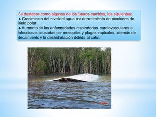 Se destacan como algunos de los futuros cambios, los siguientes:
 Crecimiento del nivel del agua por derretimiento de porciones de
hielo polar
 Aumento de las enfermedades respiratorias, cardiovasculares e
infecciosas causadas por mosquitos y plagas tropicales, además del
decaimiento y la deshidratación debida al calor.
 