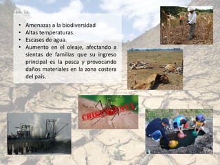 • Amenazas a la biodiversidad
• Altas temperaturas.
• Escases de agua.
• Aumento en el oleaje, afectando a
sientas de familias que su ingreso
principal es la pesca y provocando
daños materiales en la zona costera
del país.
 