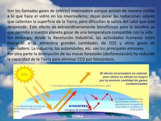 Son los llamados gases de (efecto) invernadero porque actúan de manera similar
a lo que hace el vidrio en los invernaderos; dejan pasar las radiaciones solares
que calientan la superficie de la Tierra, pero dificultan la salida del calor que esta
desprende. Este efecto es extraordinariamente beneficioso para la biosfera ya
que permite a nuestro planeta gozar de una temperatura compatible con la vida.
Sin embargo, desde la Revolución Industrial, las actividades humanas están
liberando a la atmósfera grandes cantidades de CO2 y otros gases de
invernadero. La industria, los automóviles, etc. son los principales emisores.
Por otra parte la destrucción de las masas forestales (desforestación) ha reducido
la capacidad de la Tierra para eliminar CO2 por fotosíntesis.
 