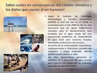  Según el Instituto de Hidrología,
Meteorología y Estudios Ambientales
(IDEAM) el nivel del mar en el Caribe se
aumentará para el año 2060 en 40 cm, esto
provocaría que las aguas subterráneas
utilizadas para el abastecimiento sean
invadidas por el agua salada del mar,
ocasionando problemas de disponibilidad
de agua dulce para consumo humano,
actividades productivas y de turismo.
• Aumento de las enfermedades respiratorias,
cardiovasculares e infecciosas causadas por
mosquitos y plagas tropicales, además
deshidratación debido al calor.
• Las altas temperaturas generarán un
aumento de la demanda del agua potable
pero reducirá los niveles de los embalses,
causando desabastecimiento.
 
