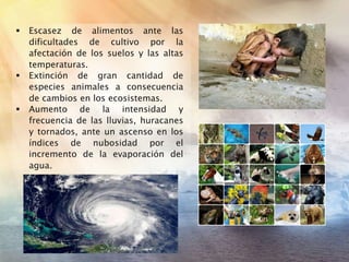  Escasez de alimentos ante las
dificultades de cultivo por la
afectación de los suelos y las altas
temperaturas.
 Extinción de gran cantidad de
especies animales a consecuencia
de cambios en los ecosistemas.
 Aumento de la intensidad y
frecuencia de las lluvias, huracanes
y tornados, ante un ascenso en los
índices de nubosidad por el
incremento de la evaporación del
agua.
 