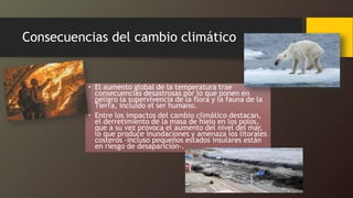 Consecuencias del cambio climático
• El aumento global de la temperatura trae
consecuencias desastrosas por lo que ponen en
peligro la supervivencia de la flora y la fauna de la
Tierra, incluido el ser humano.
• Entre los impactos del cambio climático destacan,
el derretimiento de la masa de hielo en los polos,
que a su vez provoca el aumento del nivel del mar,
lo que produce inundaciones y amenaza los litorales
costeros –incluso pequeños estados insulares están
en riesgo de desaparición-.
 