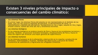 Existen 3 niveles principales de impacto o
consecuencias del cambio climático:
• Los sistemas físicos
• En primer lugar, los sistemas físicos del planeta se ven representados en el deshielo de los
polos, que a su vez causa la regresión de glaciares, el derretimiento de nieve, el
calentamiento y deshielo del permafrost, inundaciones en ríos y lagos, sequías en ríos y lagos,
erosión costera, subida del nivel del mar y fenómenos extremos.
• Los sistemas biológicos
• En los sistemas biológicos se produce muerte de flora y fauna en los ecosistemas terrestres y
marinos. También, se provocan incendios forestales y desplazamiento de flora y fauna en
busca de lugares que ofrezcan una mayor garantía de supervivencia.
• Los sistemas humanos
• En los sistemas humanos se da la afectación y destrucción en la cosecha y producción de
alimentos, enfermedades y muertes. También hay destrucción y perjuicio de medios
económicos de subsistencia y migraciones de refugiados climáticos.
 