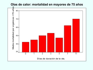 Olas de calor: mortalidad en mayores de 75 años 
