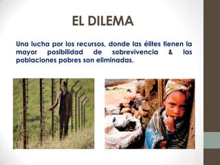 EL DILEMA
Una lucha por los recursos, donde las élites tienen la
mayor   posibilidad    de    sobrevivencia     &   las
poblaciones pobres son eliminadas.
 