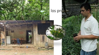 Análisis de cambio climático