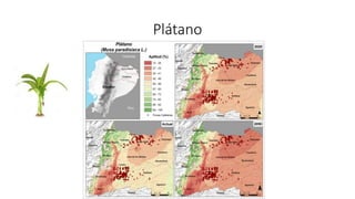 Análisis de cambio climático