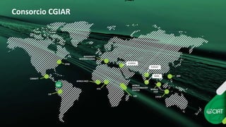 Análisis de cambio climático