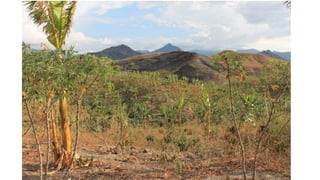 Análisis de cambio climático