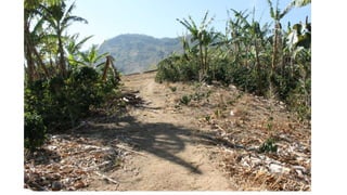 Análisis de cambio climático