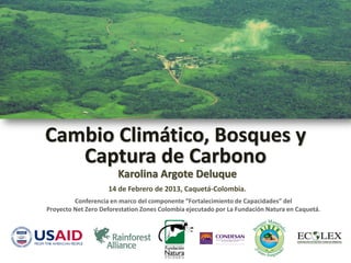 Cambio Climático, Bosques y
   Captura de Carbono
                       Karolina Argote Deluque
                    14 de Febrero de 2013, Caquetá-Colombia.
         Conferencia en marco del componente “Fortalecimiento de Capacidades” del
Proyecto Net Zero Deforestation Zones Colombia ejecutado por La Fundación Natura en Caquetá.
 