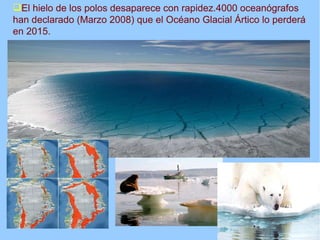 El hielo de los polos desaparece con rapidez.4000 oceanógrafos
han declarado (Marzo 2008) que el Océano Glacial Ártico lo perderá
en 2015.
 
