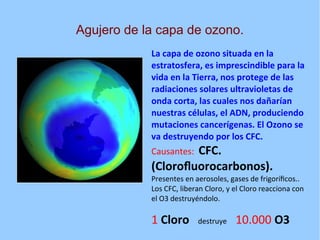 Agujero de la capa de ozono.
            La capa de ozono situada en la
            estratosfera, es imprescindible para la
            vida en la Tierra, nos protege de las
            radiaciones solares ultravioletas de
            onda corta, las cuales nos dañarían
            nuestras células, el ADN, produciendo
            mutaciones cancerígenas. El Ozono se
            va destruyendo por los CFC.
                     CFC.
            Causantes:
            (Clorofluorocarbonos).
            Presentes en aerosoles, gases de frigoríficos..
            Los CFC, liberan Cloro, y el Cloro reacciona con
            el O3 destruyéndolo.

            1 Cloro       destruye    10.000 O3
 