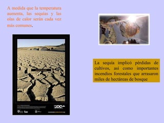 A medida que la temperatura aumenta, las sequías y las olas de calor serán cada vez más comunes .   La sequía implicó pérdidas de cultivos, así como importantes incendios forestales que arrasaron miles de hectáreas de bosque 