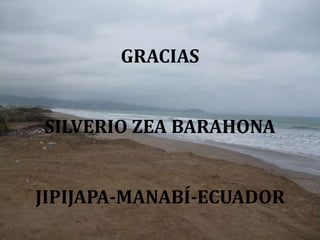 GRACIAS
SILVERIO ZEA BARAHONA
JIPIJAPA-MANABÍ-ECUADOR
 