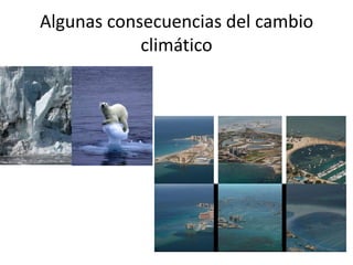Algunas consecuencias del cambio
            climático
 