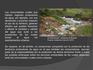 Contaminación antrópica rio Bogotá.
Fuente: Guillermo Cano M. 2012
Las comunidades rurales que
habitan regiones productoras
de agua, por ejemplo, con sus
decisiones y acciones respecto
al uso de su territorio, generan
efectos que pueden favorecer
o afectar la cantidad y calidad
del agua que surte a los
acueductos de los cuales
toman el agua los
asentamientos urbanos.
Se requiere, en tal sentido, un compromiso compartido por la protección de los
territorios productores de agua en el que también los consumidores, asuman
parte de la responsabilidad por la protección de dichos territorios frente a todas
las posibles amenazas sobre los servicios ambientales de los cuales dependen
tanto las comunidades rurales como urbanas.
 