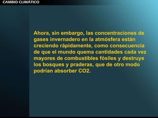 Ahora, sin embargo, las concentraciones de gases invernadero en la atmósfera están creciendo rápidamente, como consecuencia de que el mundo quema cantidades cada vez mayores de combustibles fósiles y destruye los bosques y praderas, que de otro modo podrían absorber CO2. 