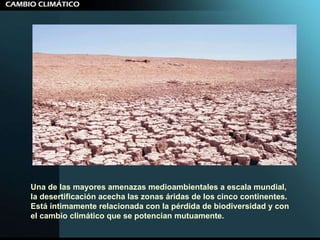 Una de las mayores amenazas medioambientales a escala mundial, la desertificación acecha las zonas áridas de los cinco continentes. Está íntimamente relacionada con la pérdida de biodiversidad y con el cambio climático que se potencian mutuamente. 