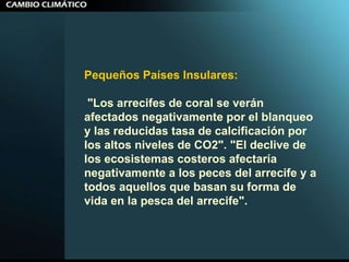 Pequeños Países Insulares: "Los arrecifes de coral se verán afectados negativamente por el blanqueo y las reducidas tasa de calcificación por los altos niveles de CO2". "El declive de los ecosistemas costeros afectaría negativamente a los peces del arrecife y a todos aquellos que basan su forma de vida en la pesca del arrecife".  