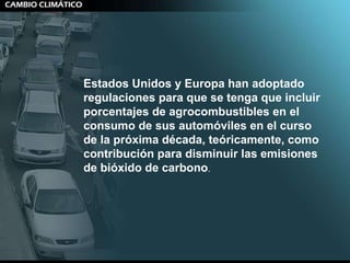 Estados Unidos y Europa han adoptado regulaciones para que se tenga que incluir porcentajes de agrocombustibles en el consumo de sus automóviles en el curso de la próxima década, teóricamente, como contribución para disminuir las emisiones de bióxido de carbono .  