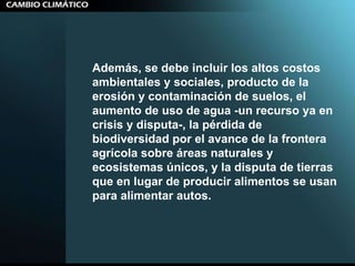 Además, se debe incluir los altos costos ambientales y sociales, producto de la erosión y contaminación de suelos, el aumento de uso de agua -un recurso ya en crisis y disputa-, la pérdida de biodiversidad por el avance de la frontera agrícola sobre áreas naturales y ecosistemas únicos, y la disputa de tierras que en lugar de producir alimentos se usan para alimentar autos.  