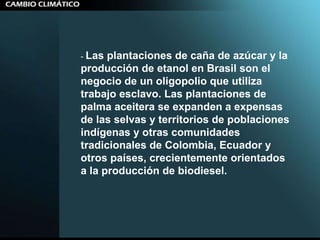 -  Las plantaciones de caña de azúcar y la producción de etanol en Brasil son el negocio de un oligopolio que utiliza trabajo esclavo. Las plantaciones de palma aceitera se expanden a expensas de las selvas y territorios de poblaciones indígenas y otras comunidades tradicionales de Colombia, Ecuador y otros países, crecientemente orientados a la producción de biodiesel.  