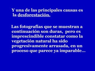 Y una de las principales causas es  la  desforestación.   Las fotografías que se muestran a continuación son duras,  pero es imprescindible constatar como la vegetación natural ha sido progresivamente arrasada, en un proceso que parece ya imparable… 
