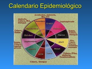 Calendario Epidemiológico
 