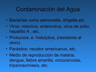 Contaminación del Agua
• Bacterias como salmonella, shigella,etc.
• Virus: rotavirus, enterovirus, virus de polio,
  hepatitis A , etc.
• Protozoos: e. histolytica, (resistente al
  cloro)
• Parásitos: necator americanus, etc.
• Medio de reproducción de malaria,
  dengue, fiebre amarilla, oncocercosis,
  tripanosomiasis, etc.
 