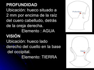 PROFUNDIDAD Ubicación: hueco situado a  2 mm por encima de la raíz  del cuero cabelludo, detrás  de la oreja derecha. Elemento : AGUA VISIÓN Ubicación: hueco lado  derecho del cuello en la base   del occipital. Elemento: TIERRA 