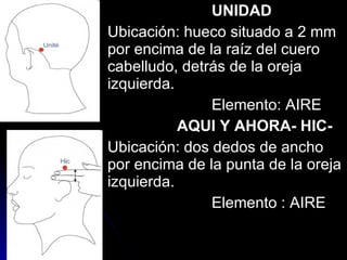UNIDAD   Ubicación: hueco situado a 2 mm  por encima de la raíz del cuero  cabelludo, detrás de la oreja  izquierda.  Elemento: AIRE AQUI Y AHORA- HIC- Ubicación: dos dedos de ancho  por encima de la punta de la oreja  izquierda. Elemento : AIRE 