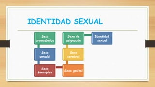 IDENTIDAD SEXUAL
Sexo
cromosómico
Sexo
gonadal
Sexo
fenotípico
Sexo genital
Sexo
cerebral
Sexo de
asignación
Identidad
sexual
 