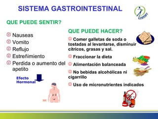 SISTEMA GASTROINTESTINAL
QUE PUEDE SENTIR?
 Nauseas
 Vomito
 Reflujo
 Estreñimiento
 Perdida o aumento del
apetito
QUE PUEDE HACER?
 Comer galletas de soda o
tostadas al levantarse, disminuir
cítricos, grasas y sal.
 Fraccionar la dieta
 Alimentación balanceada
 No bebidas alcohólicas ni
cigarrillo
 Uso de micronutrientes indicados
Efecto
Hormonal
 