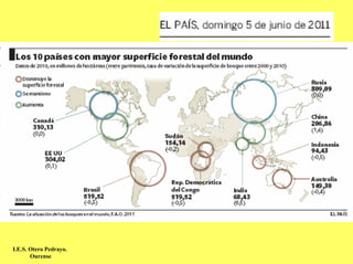 I.E.S. Otero Pedrayo.
       Ourense
 