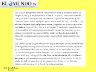 I.E.S. Otero Pedrayo.
       Ourense
 