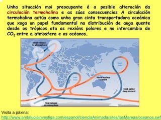 Unha situación moi preocupante é a posible alteración da
   circulación termohalina e as súas consecuencias A circulación
   termohalina actúa como unha gran cinta transportadora oceánica
   que xoga un papel fundamental na distribución de auga quente
   desde os trópicos ata as rexións polares e no intercambio de
   CO2 entre a atmosfera e os océanos.




Visita a páxina:
http://www.andaluciainvestiga.com/espanol/cienciaAnimada/sites/lasMareas/oceanos.swf
 