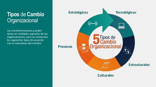 ¿Qué es el cambio organizacional? La guía definitiva