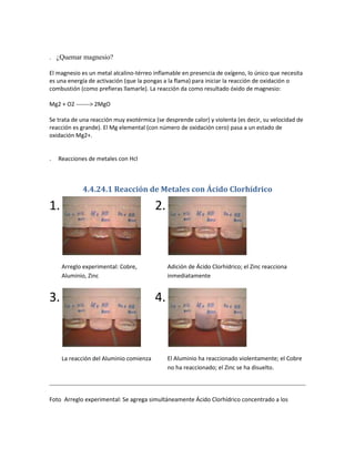 . ¿Quemar magnesio?
El magnesio es un metal alcalino-térreo inflamable en presencia de oxígeno, lo único que necesita
es una energía de activación (que la pongas a la flama) para iniciar la reacción de oxidación o
combustión (como prefieras llamarle). La reacción da como resultado óxido de magnesio:
Mg2 + O2 -------> 2MgO
Se trata de una reacción muy exotérmica (se desprende calor) y violenta (es decir, su velocidad de
reacción es grande). El Mg elemental (con número de oxidación cero) pasa a un estado de
oxidación Mg2+.

.

Reacciones de metales con Hcl

4.4.24.1 Reacción de Metales con Ácido Clorhídrico

1.

2.

Arreglo experimental: Cobre,
Aluminio, Zinc

3.

Adición de Ácido Clorhídrico; el Zinc reacciona
inmediatamente

4.

La reacción del Aluminio comienza

El Aluminio ha reaccionado violentamente; el Cobre
no ha reaccionado; el Zinc se ha disuelto.

Foto Arreglo experimental: Se agrega simultáneamente Ácido Clorhídrico concentrado a los

 
