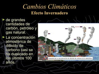 Cambios Climáticos Efecto Invernadero de grandes cantidades de carbón, petróleo y gas natural. La concentración atmosférica de dióxido de carbono casi se ha duplicado en los últimos 100 años. 
