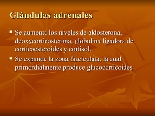 Glándulas adrenales <ul><li>Se aumenta los niveles de aldosterona, deoxycorticosterona, globulina ligadora de corticoester...