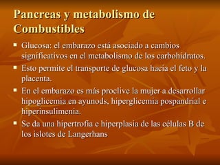 Pancreas y metabolismo de Combustibles <ul><li>Glucosa: el embarazo está asociado a cambios significativos en el metabolis...
