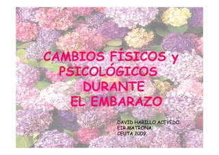CAMBIOS FÍSICOS y
  PSICOLÓGICOS
      DURANTE
    EL EMBARAZO
         DAVID HARILLO ACEVEDO.
         EIR MATRONA.
         CEUTA 2009.
 